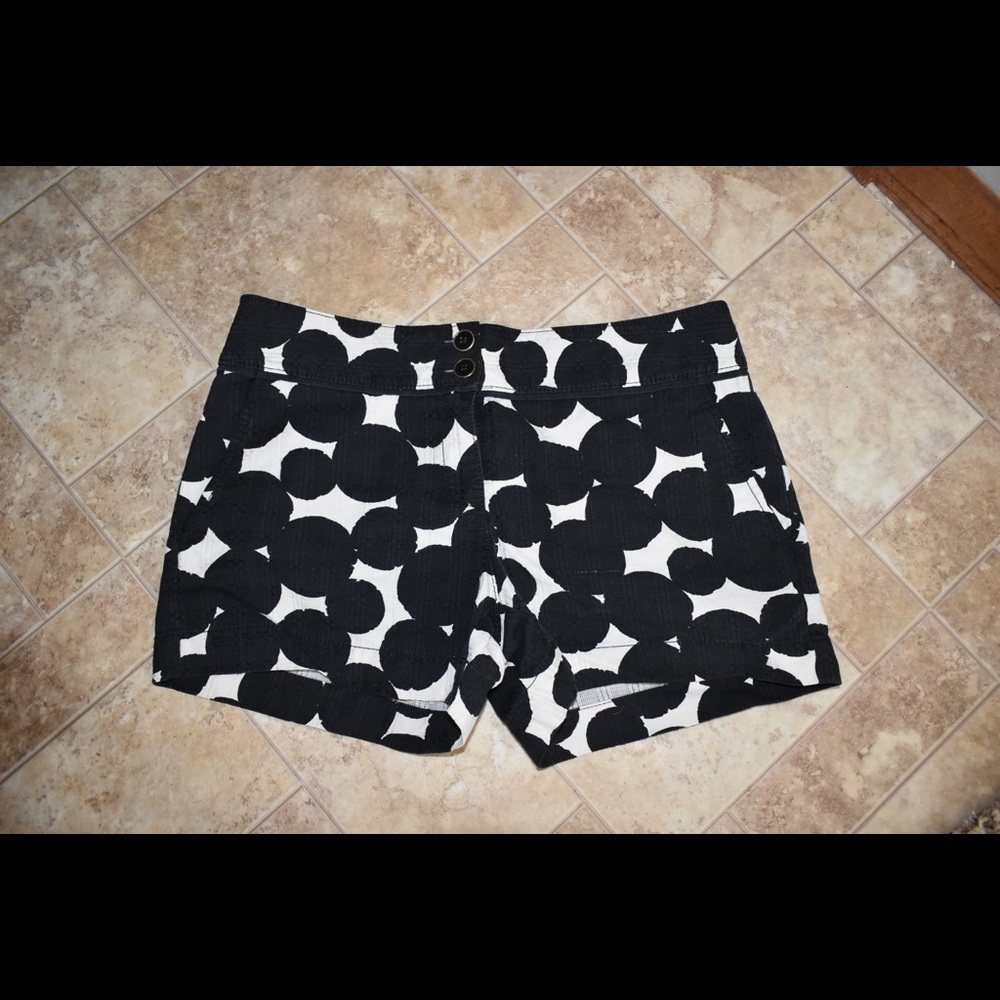 Loft Shorts NWOT